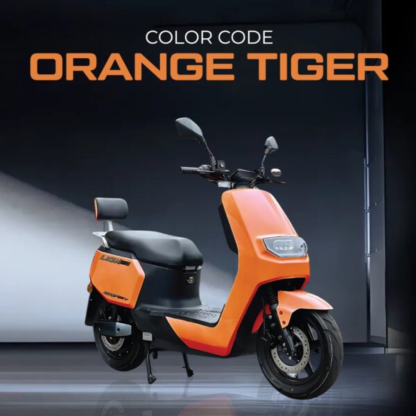 Lion G1 - Orange Tiger